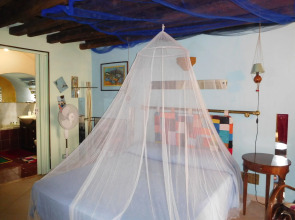 Exclusive Dependance