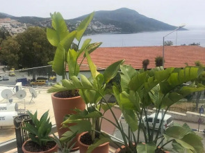 Samira Exclusive Hotel & Apartments