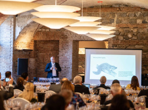 Tsinandali Estate, A Radisson Collection Hotel