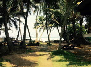 Curry Bowl Restaurant & Turtles Rest