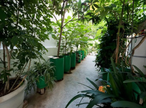 Garden Central Athinian Apartments