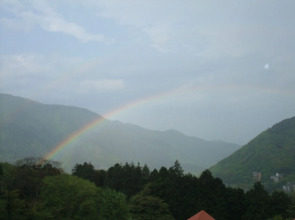 Wisterian Life Club Verde no Mori