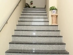 Pensão Leão De Ouro