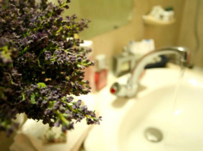 Hôtel de l'Alma by Malone