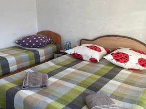 Кедр Золотой