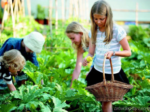 Grecotel Creta Palace