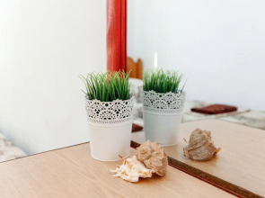 Green Oasis. Vavilon (Грин Оазис. Вавилон)