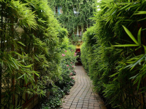 Les Patios du Marais