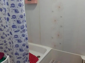 Сосновый бор