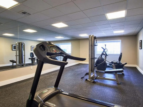 Palm Tree Club Miami Hotel