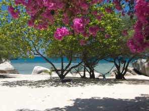 View Point Resort Koh Tao