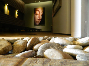 Flamingo Hotel & Spa - Pet Friendly