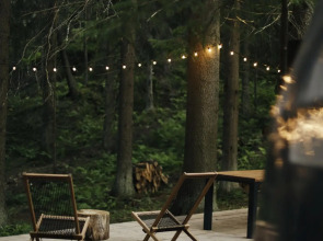 Вили Улей Карелия