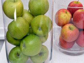 Best Western Plus Delta Park Hotel