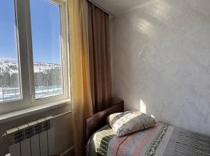 Кедр Золотой