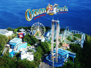 Bohol Hotel - Hostel