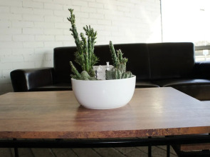 Zaliasis Slenis — отель с самостоятельным заездом