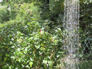 Reef Holiday Apartments