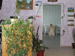 Роза ветров