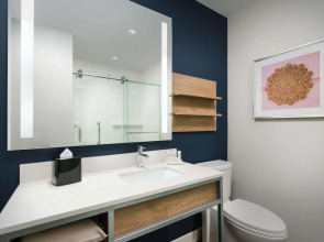 Hilton Garden Inn St. Pete Beach