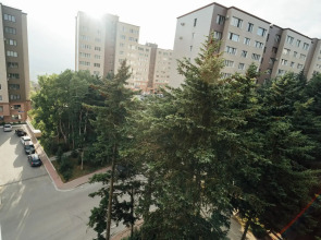 Серебряный бор (Сахалин)