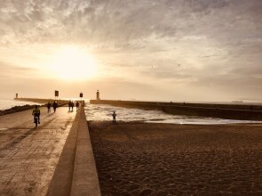 Urban Garden Porto Central Hostel