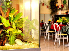 Hotel San Siro Fiera