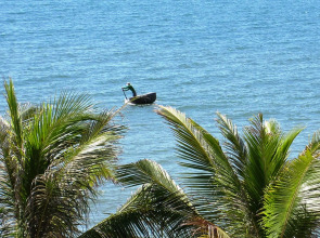 Grace Boutique Resort