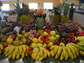 Playavera Hotel - Naturist Friendly