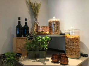 Tulip Inn Leiden Centre