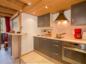 Résidence Grand Roc - Ancolies 218