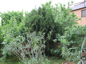 Отель Best View