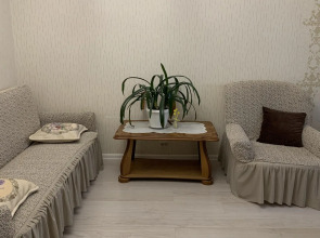 Апартаменты Турист на улице Оплеснина 41/1