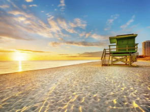 Casa Victoria Orchid