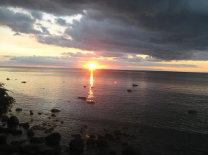 Le Cactus Guesthouse