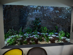 Santa Cruz Village Hotel