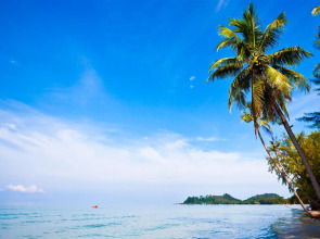 Coconut Beach Resort