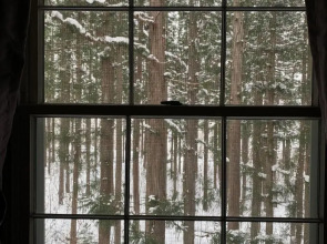 Wadano Forest Apartments