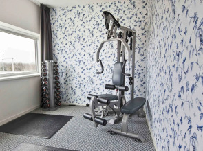 ibis Styles Amsterdam Airport (new)