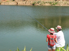 Goldcity Holiday Homes