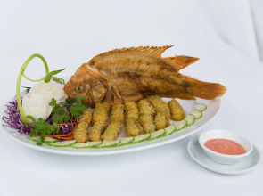 Thanh Tan Hot Springs By Fusion