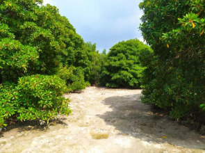 Гостевой дом Courtyard