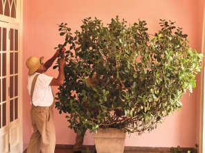 Hotel das Cataratas, A Belmond Hotel, Iguassu Falls