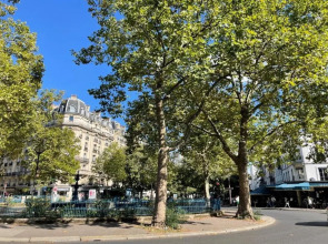 Best Western Allegro Nation