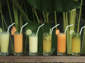 The Evitel Resort Ubud