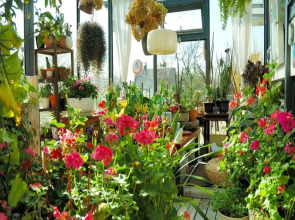 Peking International Youth Hostel