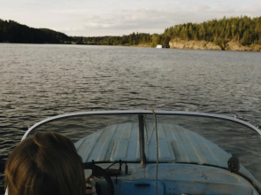 Вили Улей Карелия