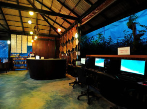 Phi Phi Arboreal Resort