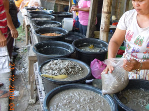 Wellbeach Dive Resort