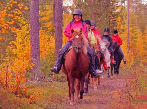 Break Sokos Hotel Levi